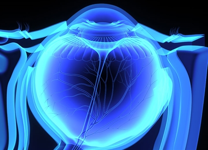 Abusharha AA, Pearce EI 2013